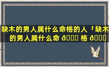 缺木的男人属什么命格的人「缺木的男人属什么命 🐎 格 🐎 的人好」